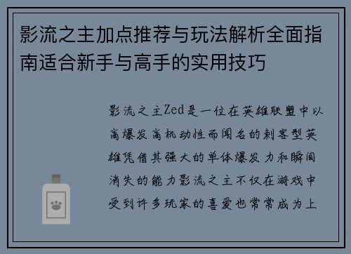 影流之主加点推荐与玩法解析全面指南适合新手与高手的实用技巧 影流之主加点推荐与玩法解析全面指南适合新手与高手的实用技巧